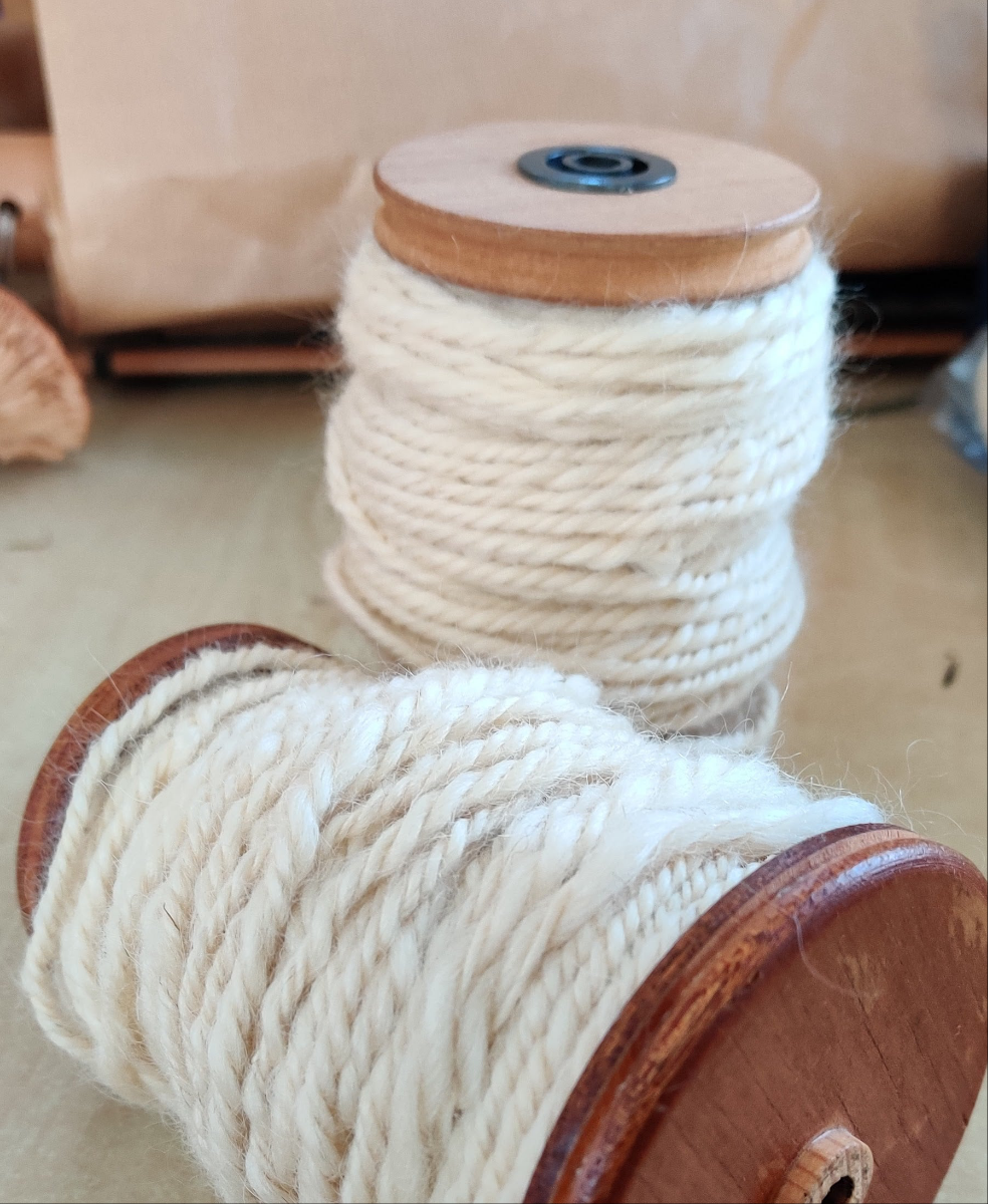 Rigid Heddle Loom Weaving | 17 January 2026