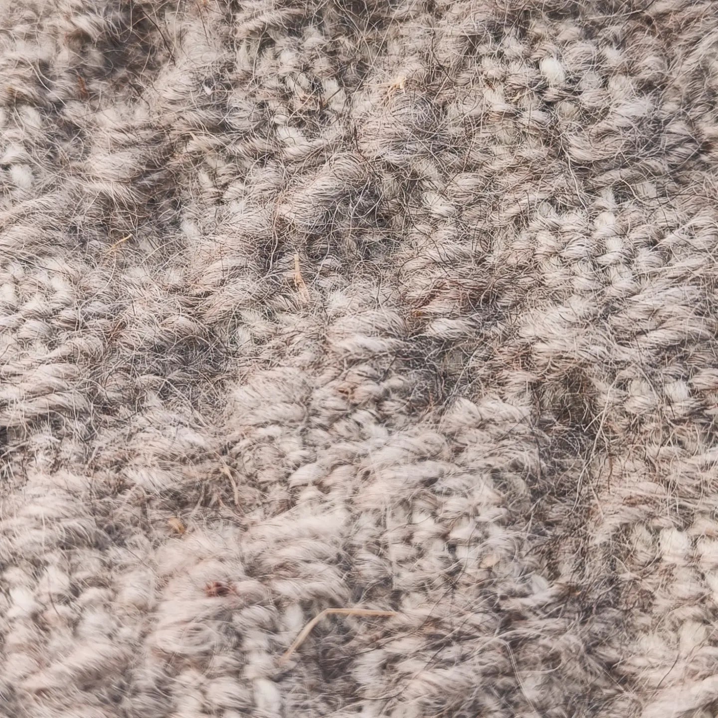 Kat. British Wool Scarf with Icelandic Lambswool