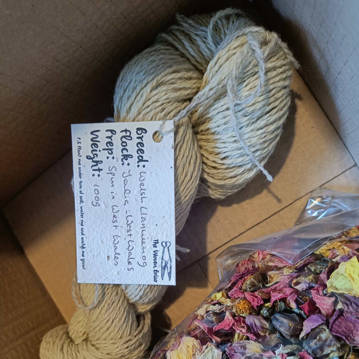 Llanwenog yarn and Dahlia