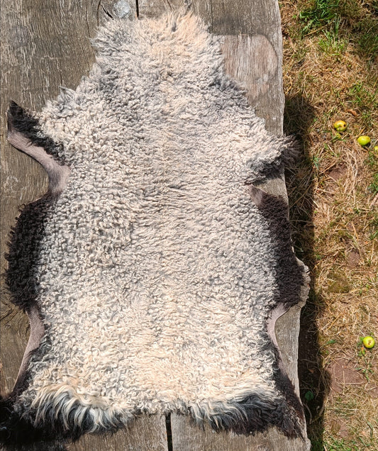 A natural sheepskin or hide rug laid flat on weathered wooden boards outdoors, with a thick shaggy cream-white center and dark charcoal to black edges.