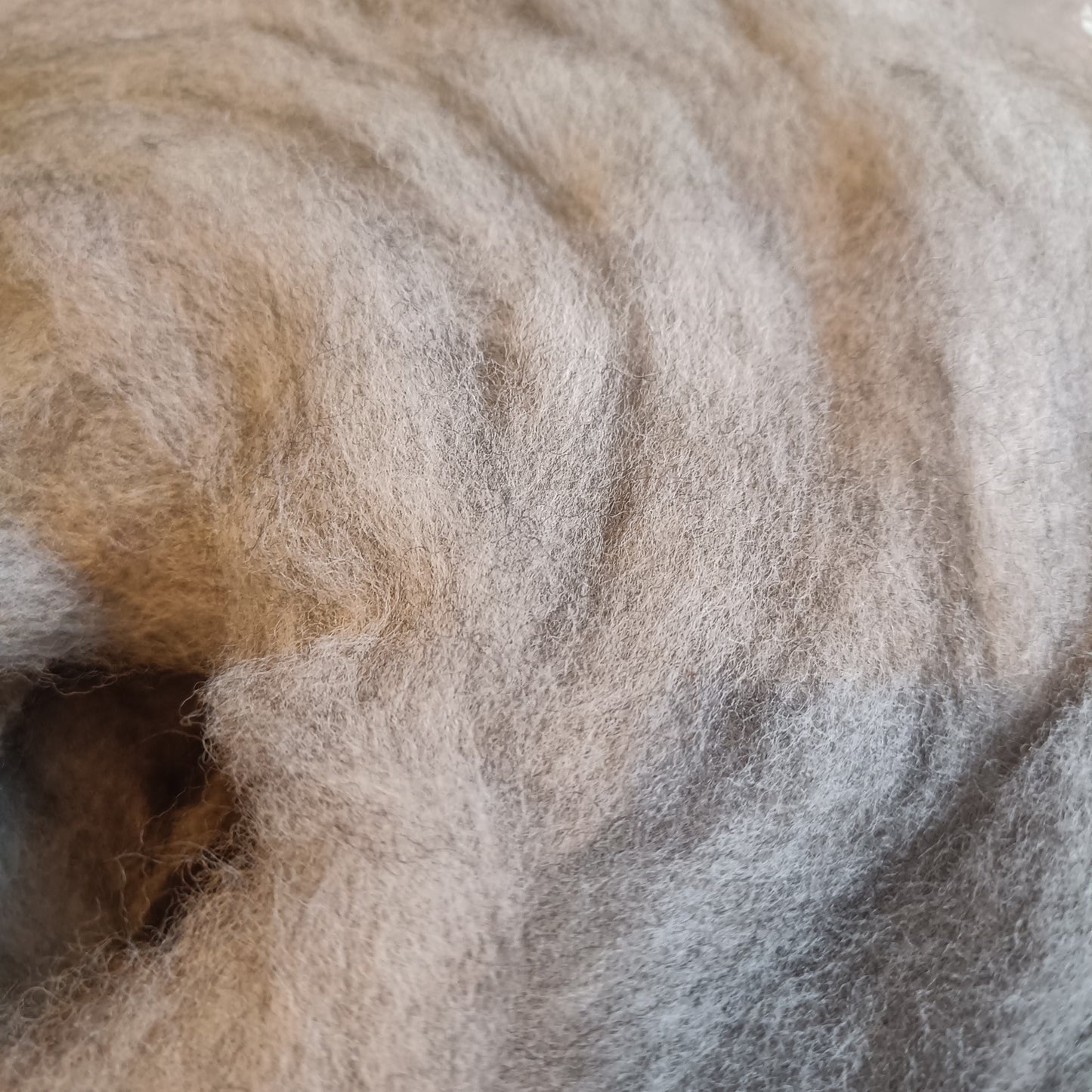 Romney x Shetland Wool - Grey Sliver