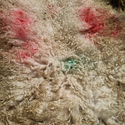 Felted White Leicester Longwool Fleece