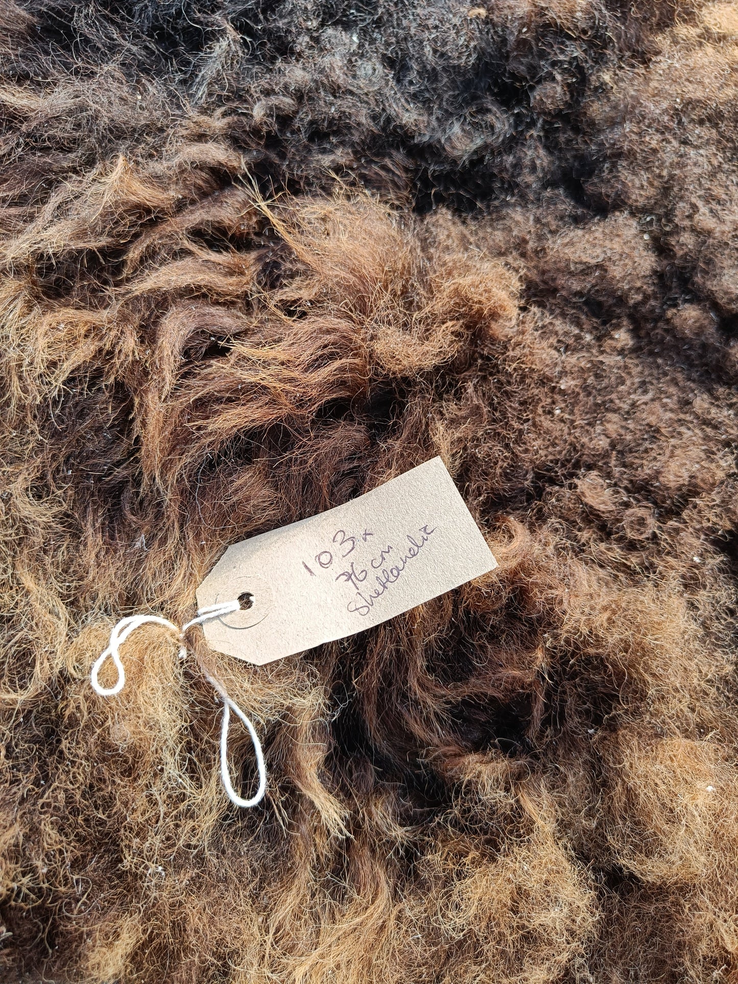 Icelandic x Shetland Sheepskin Rug