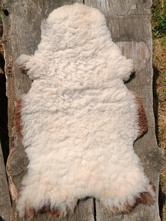 Icelandic Cross Shetland Sheepskin Rug