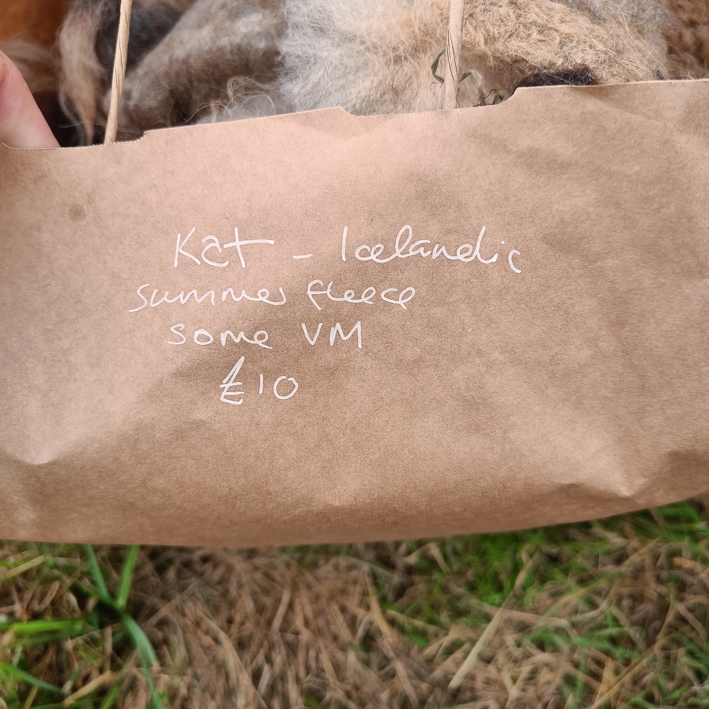 Pure Icelandic fleece from Black Kat