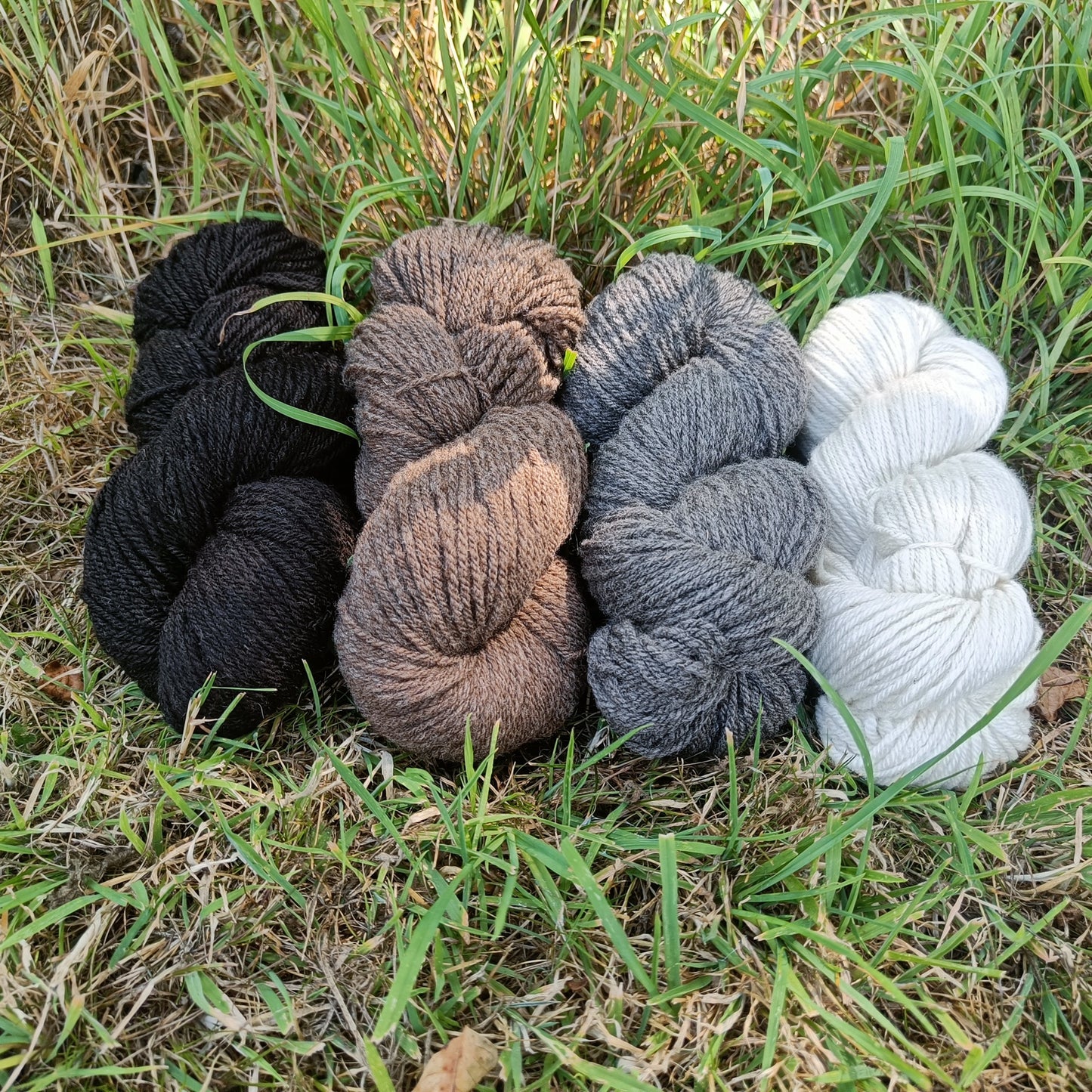 Shetland Wool Yarn