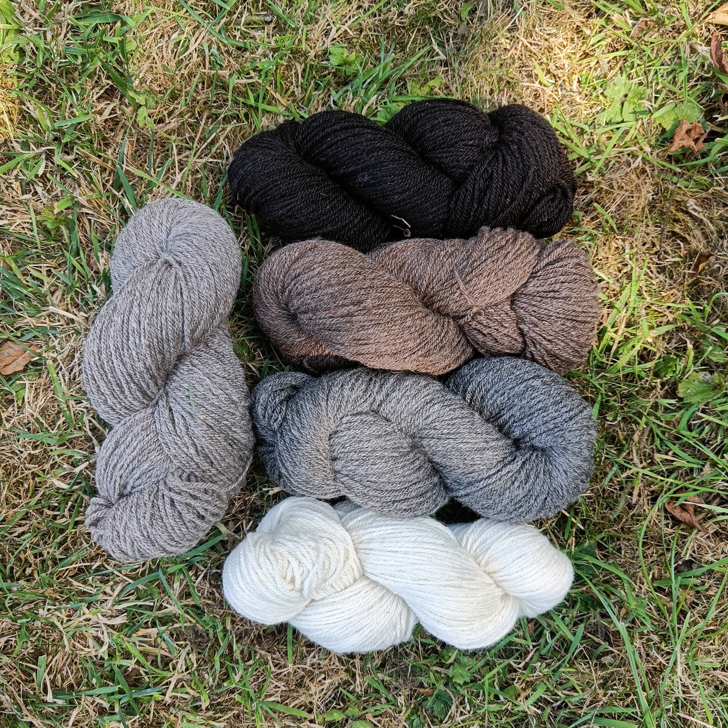 Shetland Ryeland Cross Wool Yarn, Forest of Dean