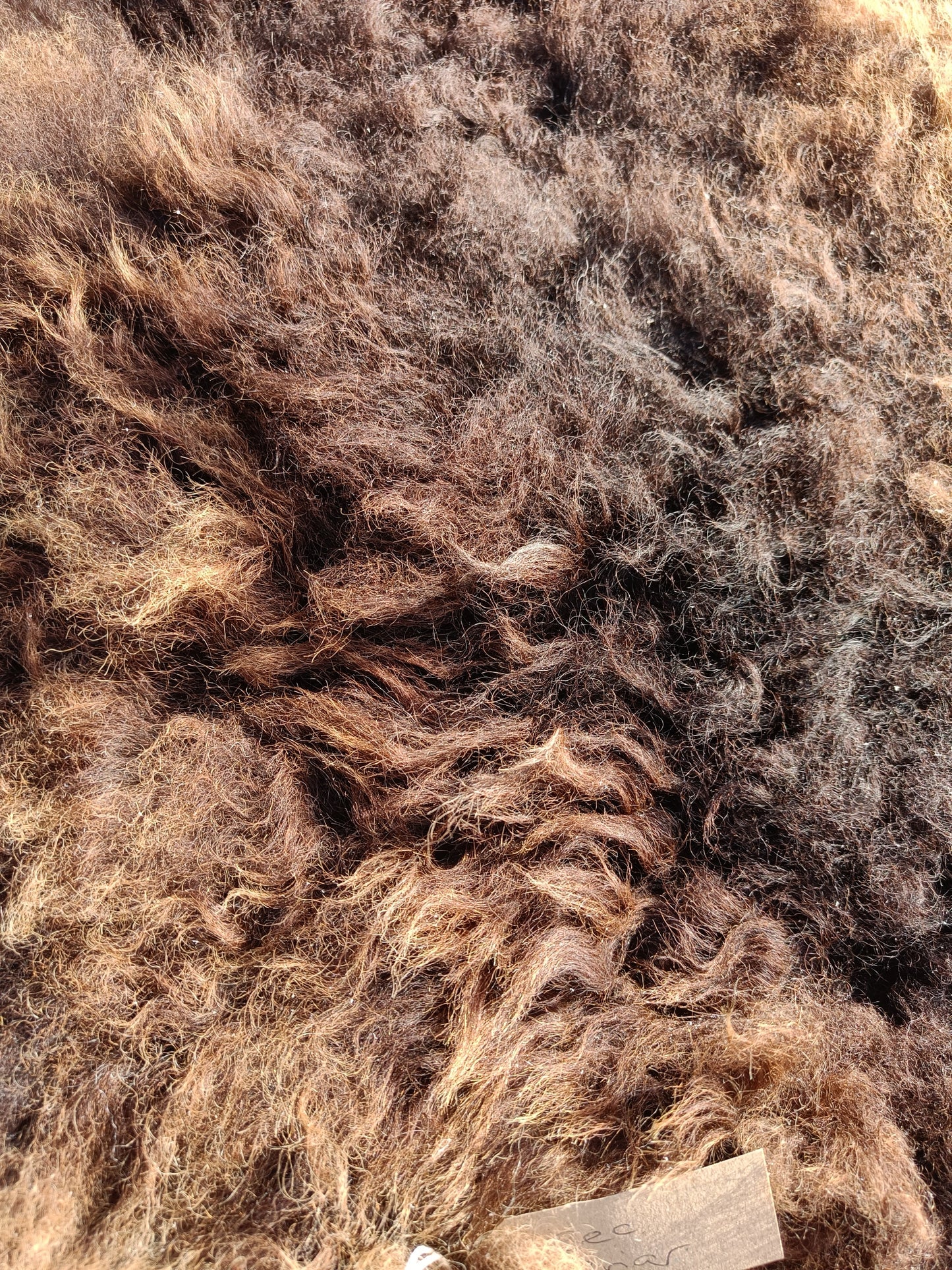 Icelandic x Shetland Sheepskin Rug