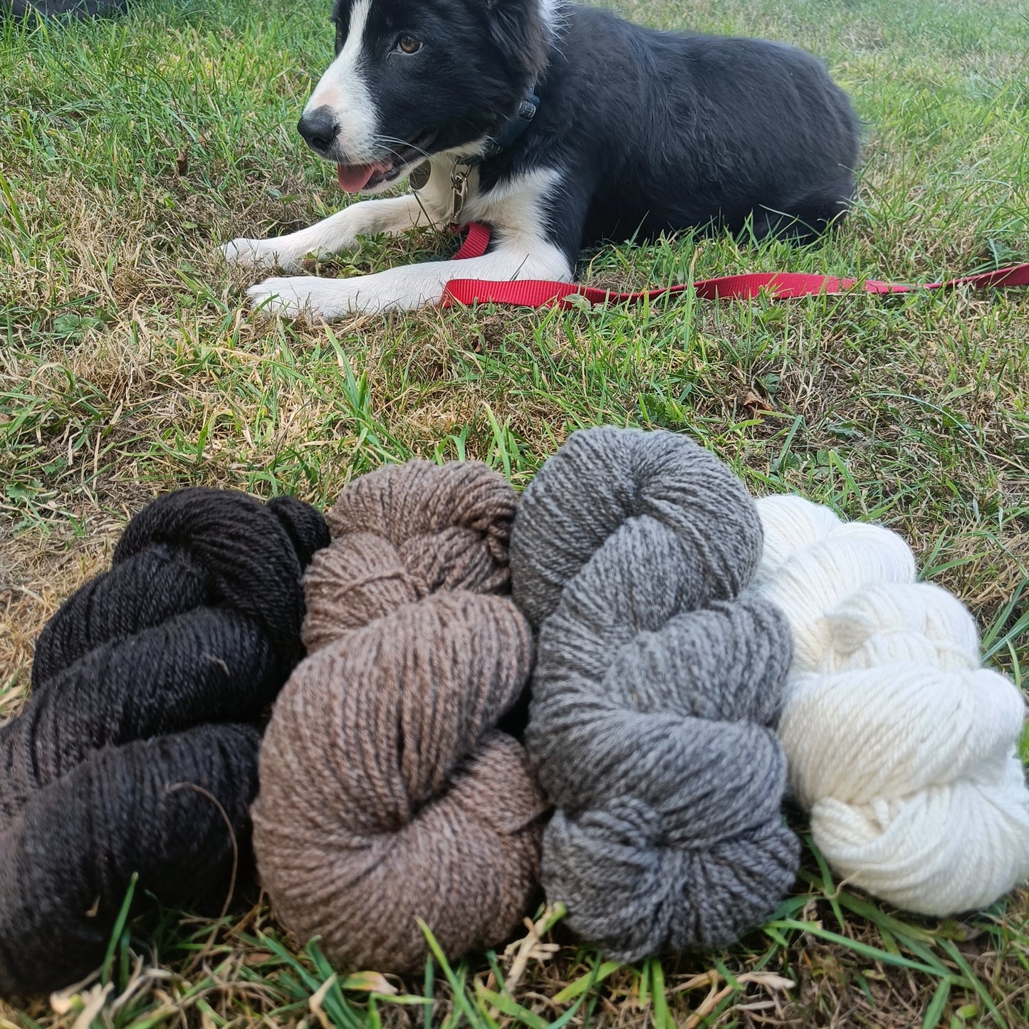 Shetland Wool Yarn