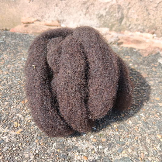 Black Welsh Mountain