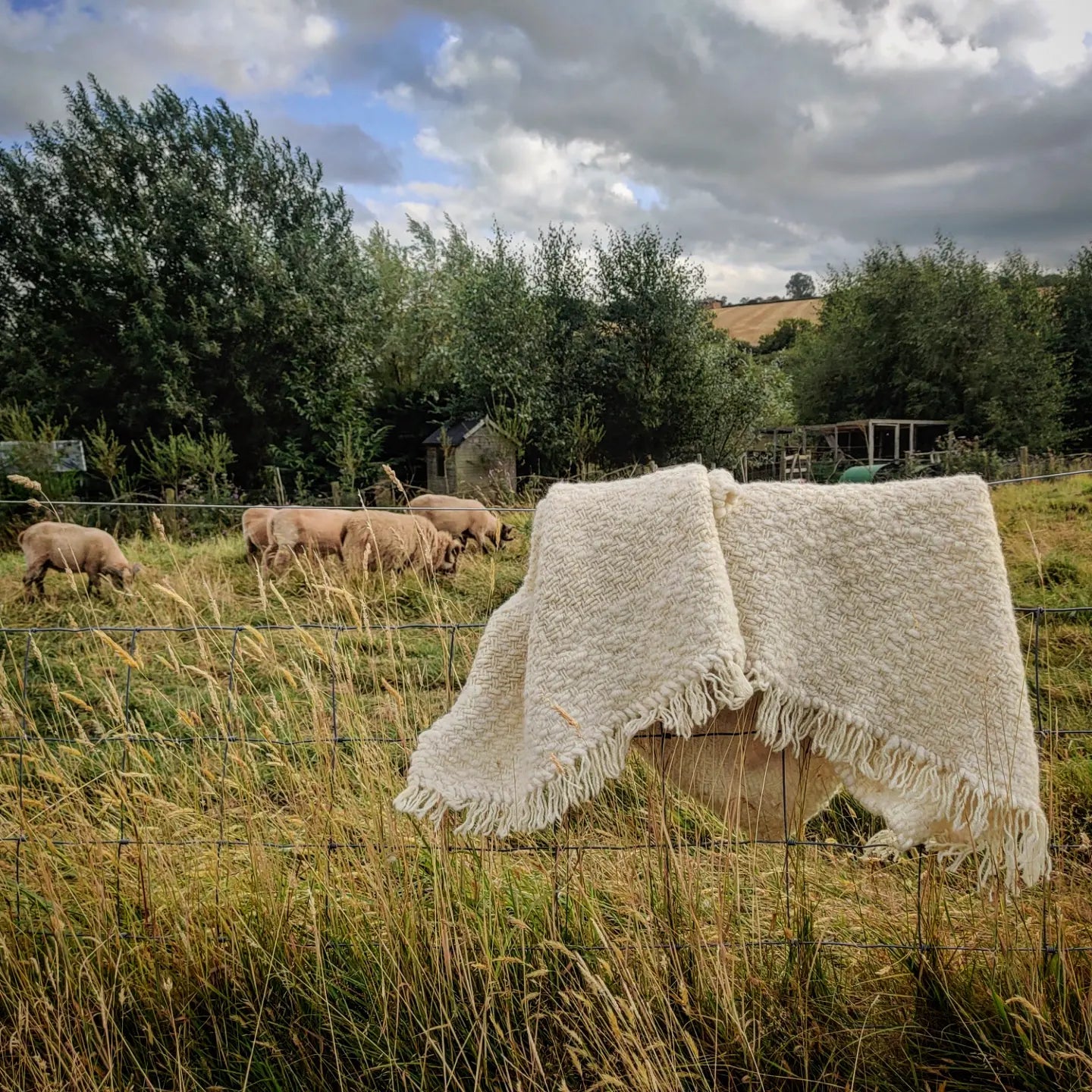 Rowan - Pure Portland wool blanket.