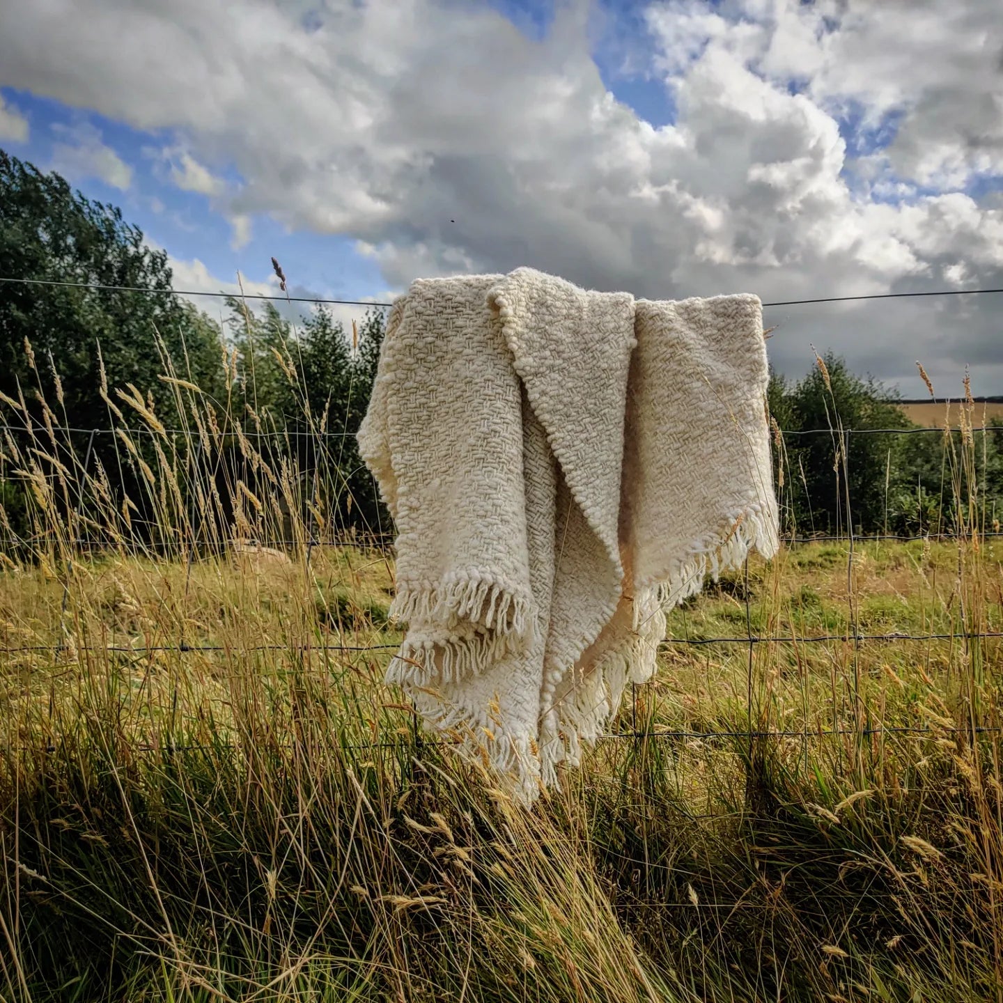 Rowan - Pure Portland wool blanket.