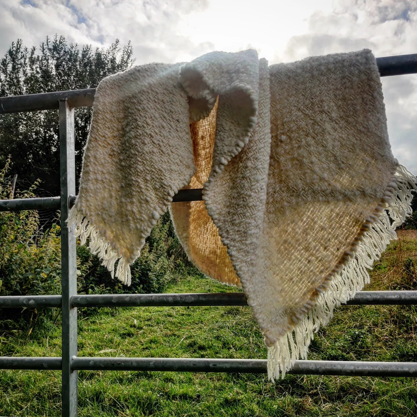 Rowan - Pure Portland wool blanket.