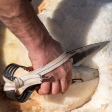 Load image into Gallery viewer, Image shows hand shears in use on a white fleeced ewe
