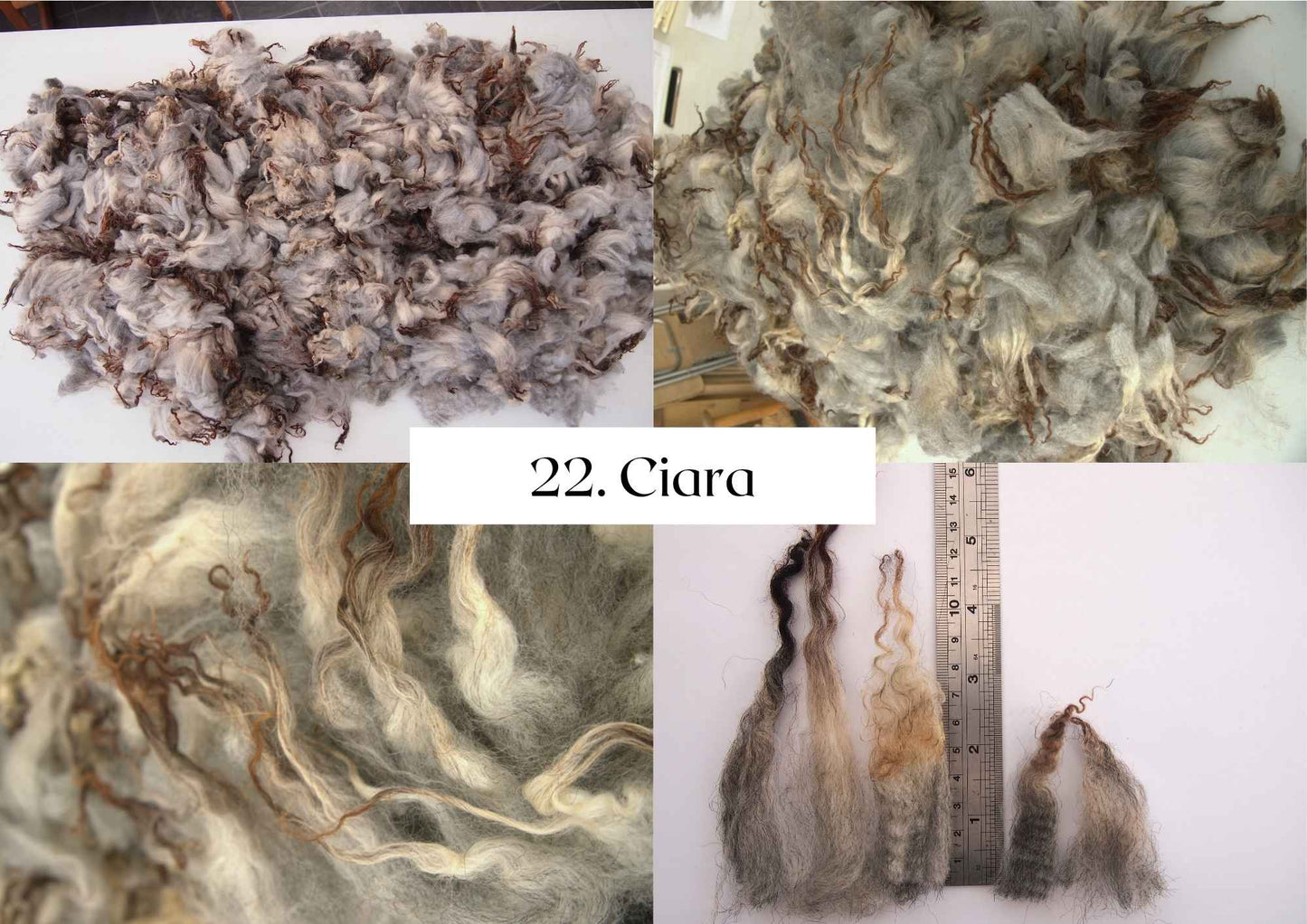 Raw Shetland x Icelandic Lambwool, Devon