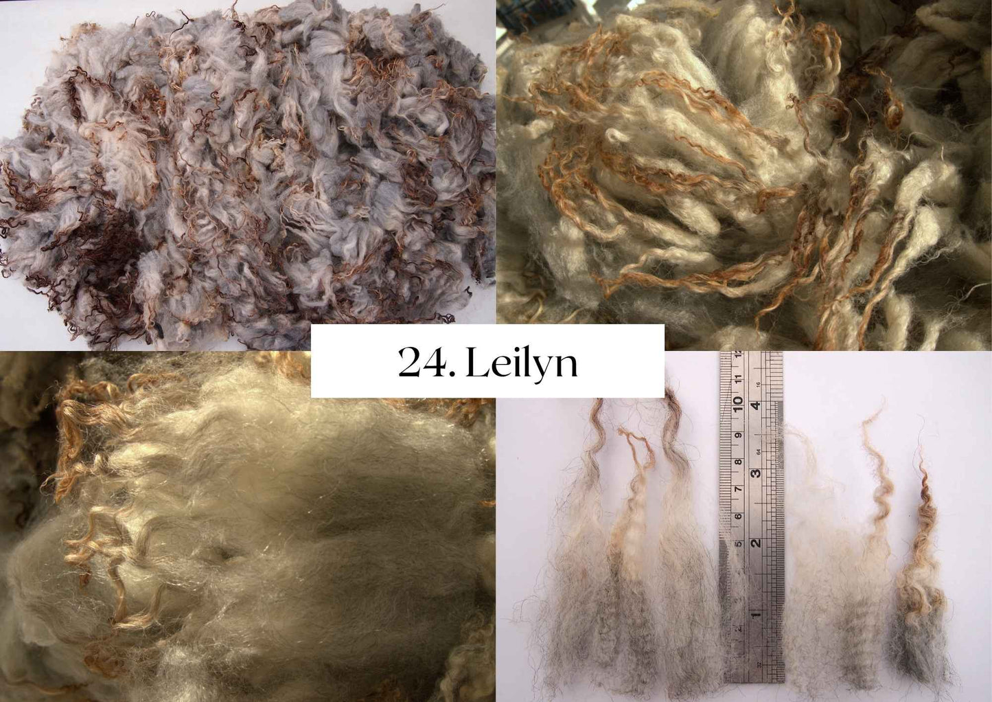 Raw Shetland x Icelandic Lambwool, Devon