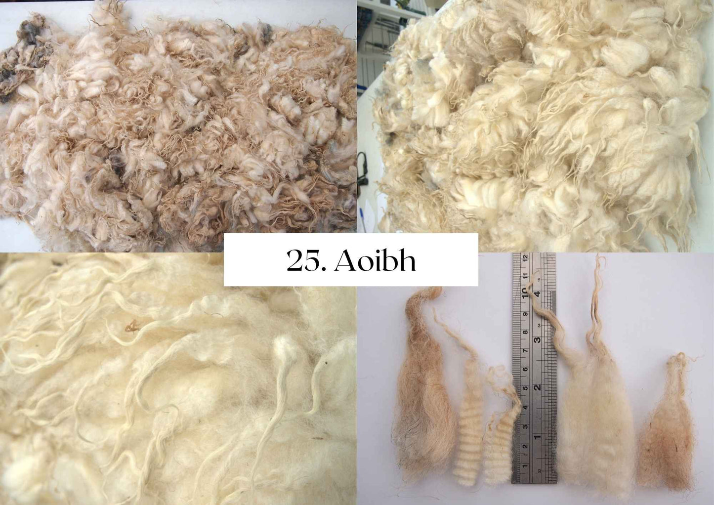 Raw Shetland x Icelandic Lambwool, Devon