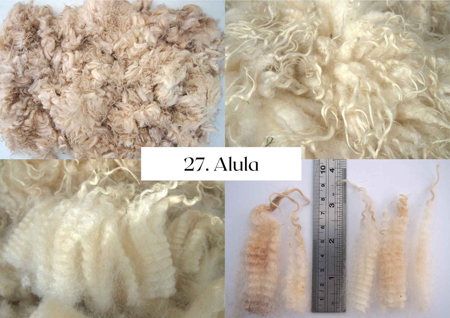 Raw Shetland x Icelandic Lambwool, Devon