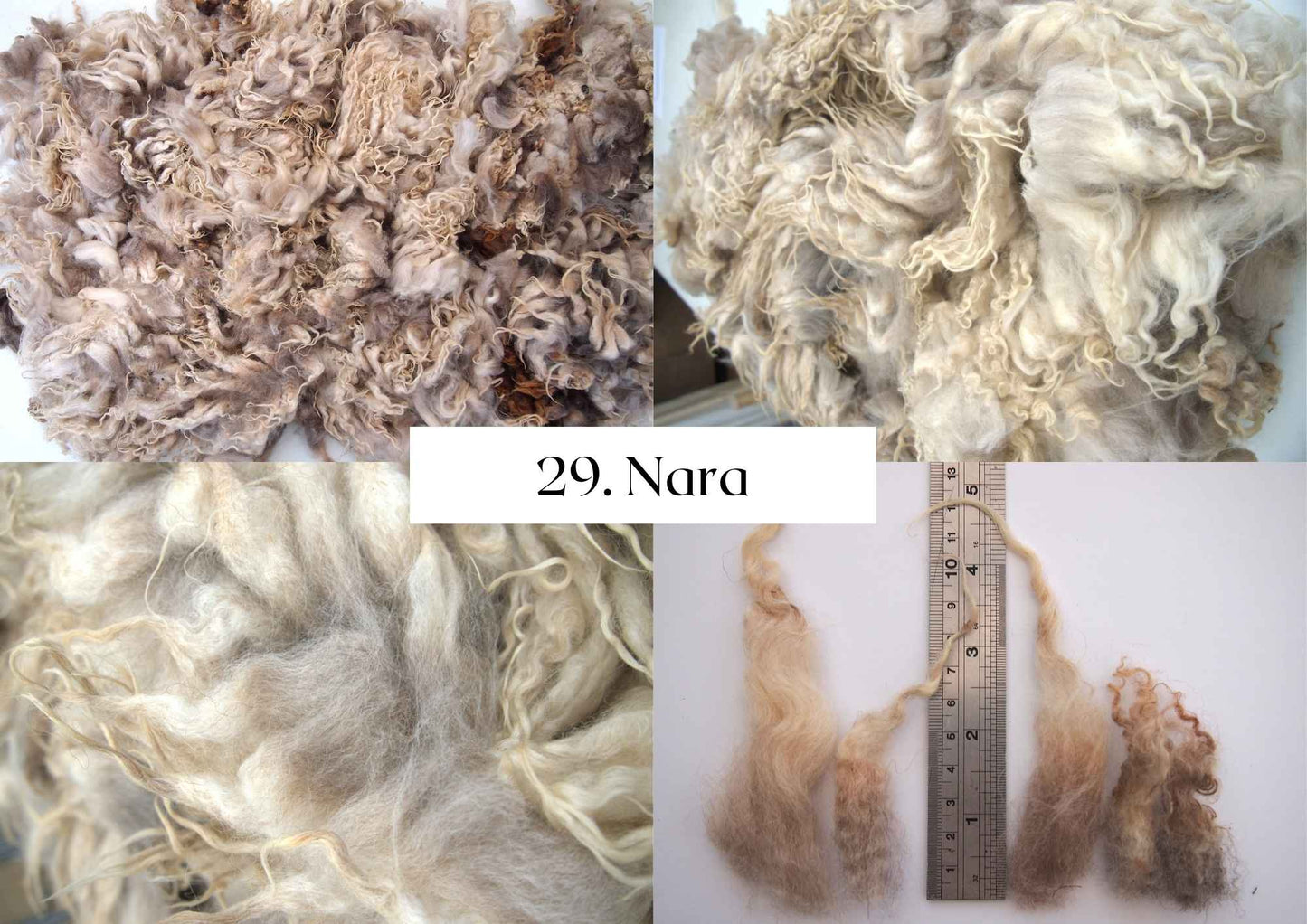 Raw Shetland x Icelandic Lambwool, Devon