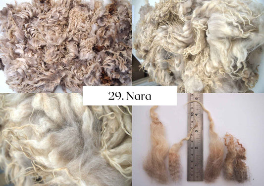 Raw Shetland x Icelandic Lambwool, Devon