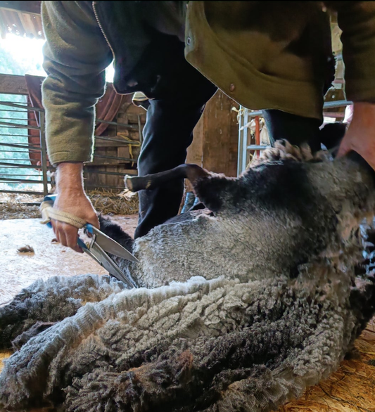 Leicester Longwool Yarn, Quantocks