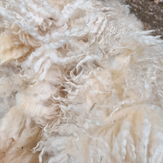 Blade shorn wool selection box 120g