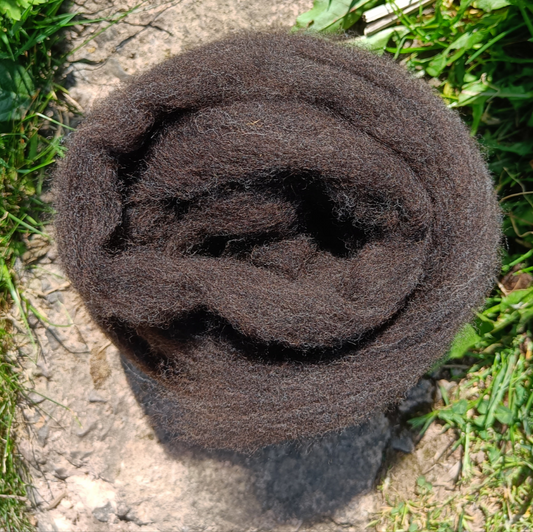 Romney x Shetland Wool - Dark Brown Sliver