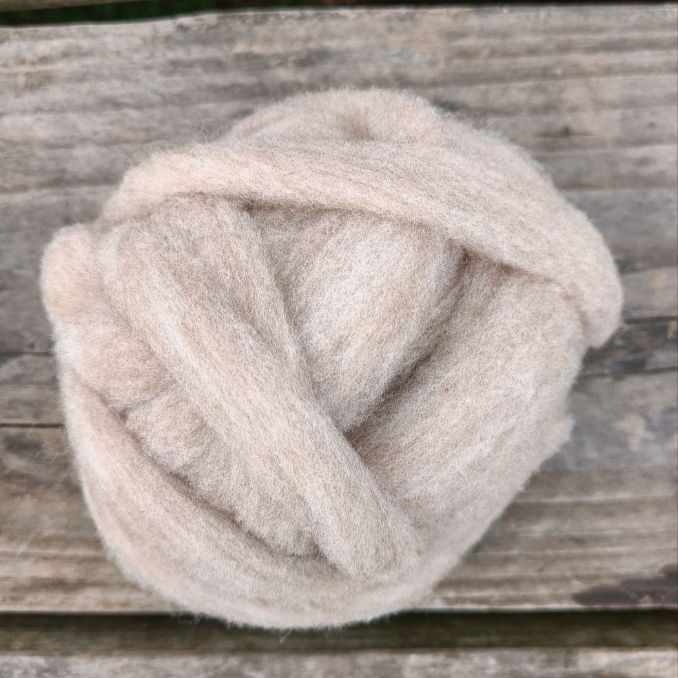 Shetland Lambswool - Sliver