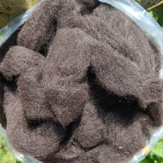 Romney x Shetland Wool - Dark Brown Sliver