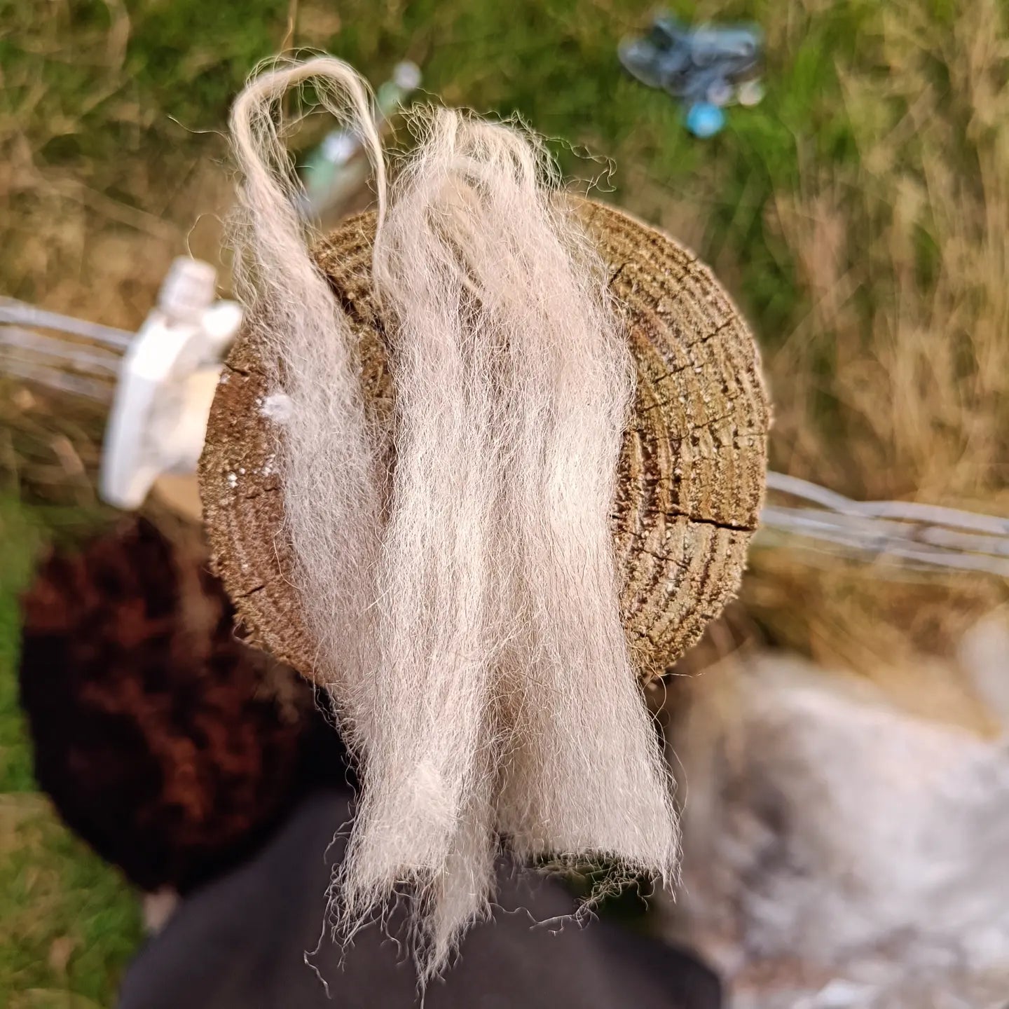 Icelandic Lopi Yarn