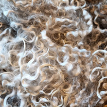Load image into Gallery viewer, Washed Leicester Longwool locks
