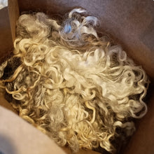 Load image into Gallery viewer, Washed Leicester Longwool locks
