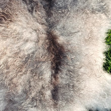 Load image into Gallery viewer, Hekla. Naturally tanned Icelandic Sheepskin Rug
