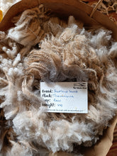 Load image into Gallery viewer, Raw pure Shetland lamb&#39;s fleece

