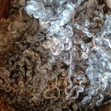 Load image into Gallery viewer, Coloured Leicester Longwool fleece
