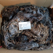 Load image into Gallery viewer, Coloured Leicester Longwool fleece

