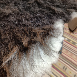 Black and White Soay Cross Sheepskin Rug