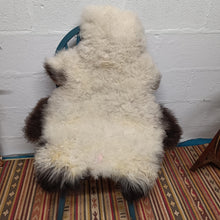 Load image into Gallery viewer, White and Black Shetland Icelandic Sheepskin Rug
