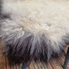 Load image into Gallery viewer, White and Black Shetland Icelandic Sheepskin Rug
