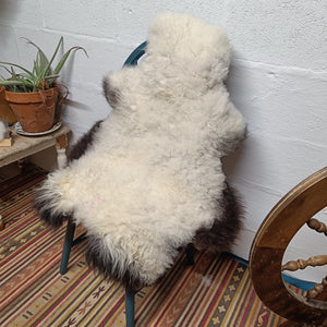 White and Black Shetland Icelandic Sheepskin Rug