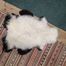 Load image into Gallery viewer, White and Black Shetland Icelandic Sheepskin Rug
