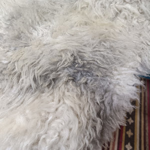 Cream and Grey Shetland Icelandic Sheepskin Rug