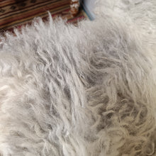 Load image into Gallery viewer, Cream and Grey Shetland Icelandic Sheepskin Rug
