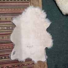 Load image into Gallery viewer, Cream and Grey Shetland Icelandic Sheepskin Rug
