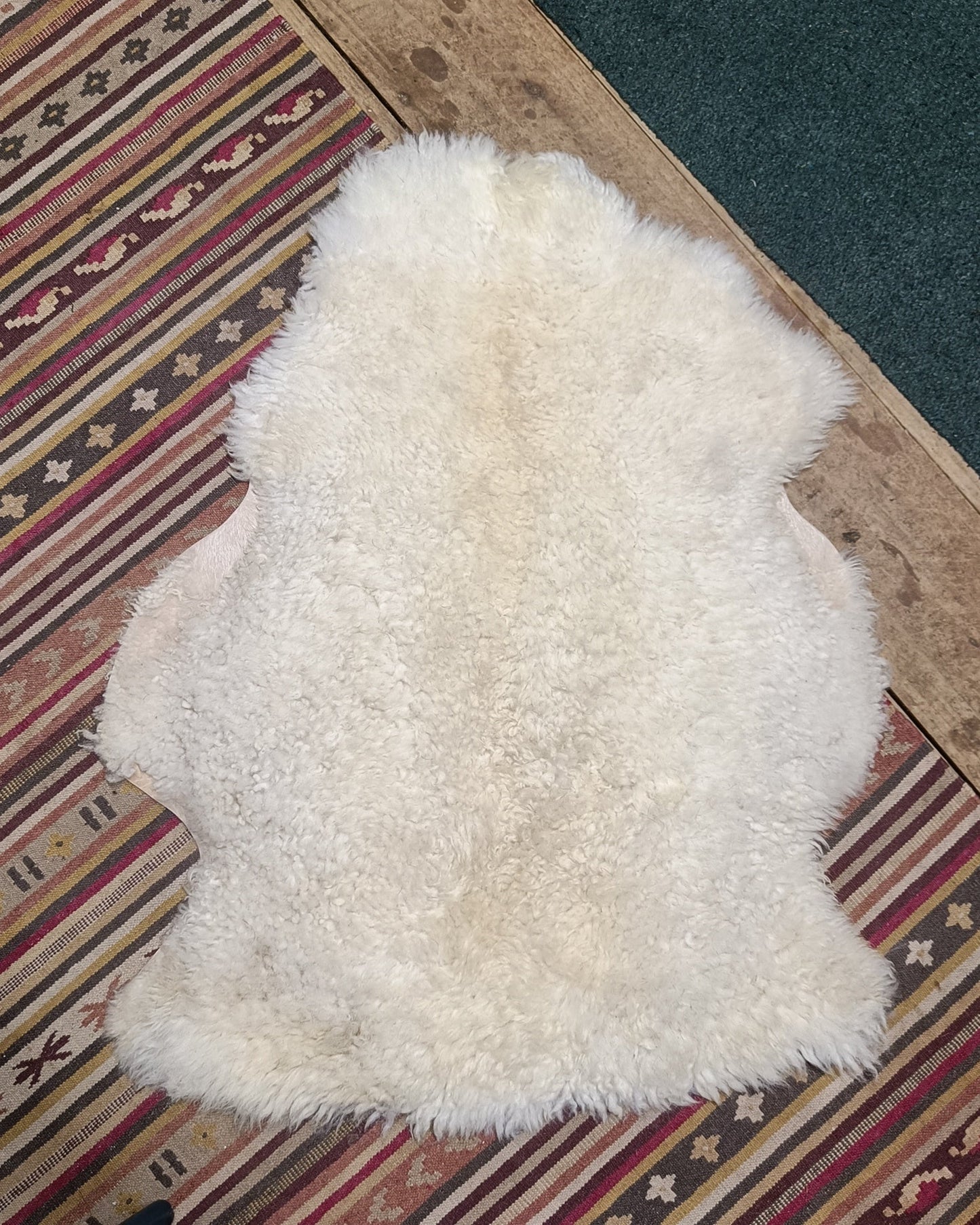 Cream White Portland x Shetland x Icelandic Sheepskin Rug