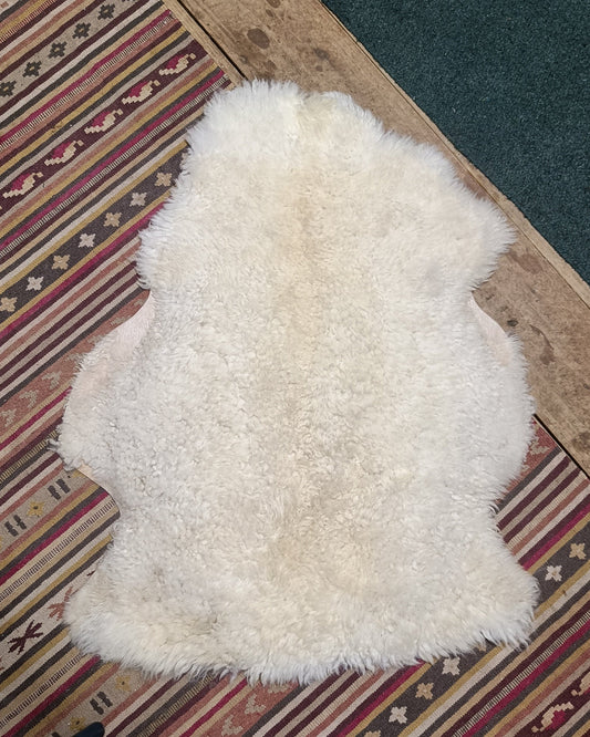 Cream White Portland x Shetland x Icelandic Sheepskin Rug