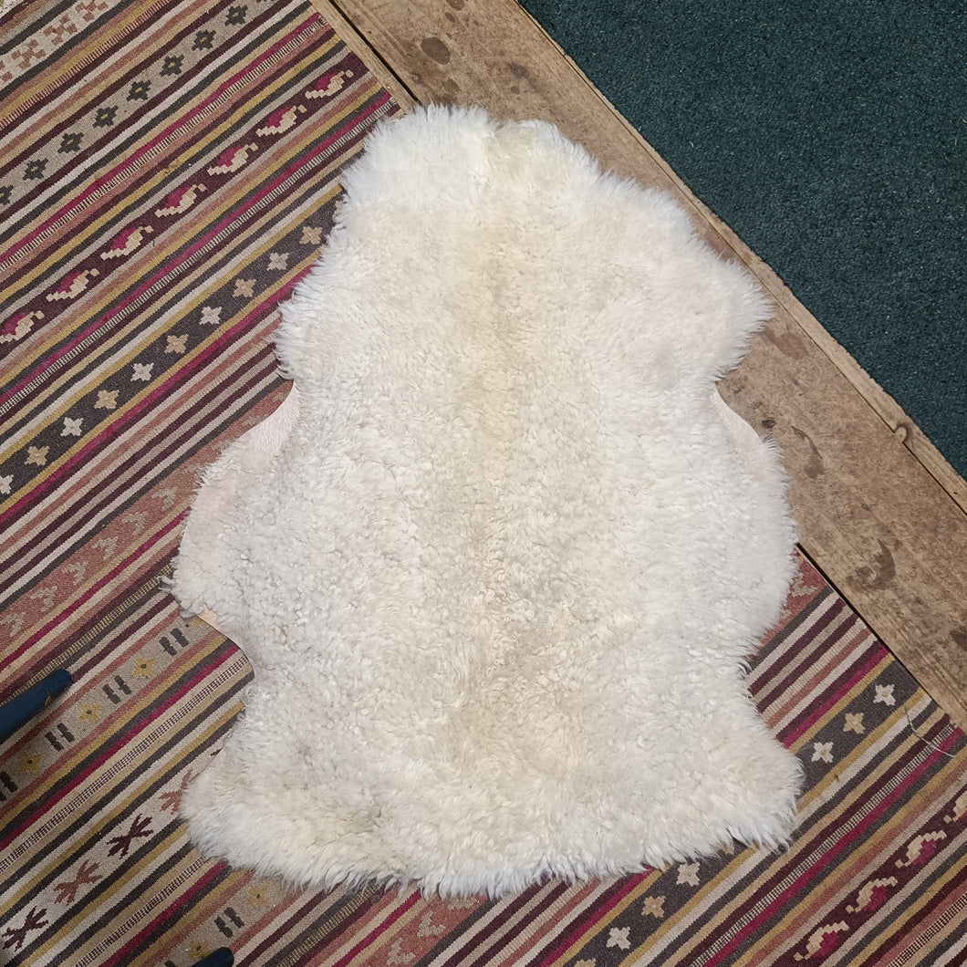 Cream White Portland x Shetland x Icelandic Sheepskin Rug