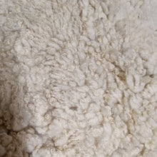 Load image into Gallery viewer, Shetland Sheepskin, Rosie
