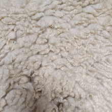 Load image into Gallery viewer, Shetland Sheepskin, Rosie
