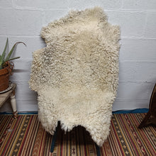 Load image into Gallery viewer, Shetland Sheepskin, Rosie
